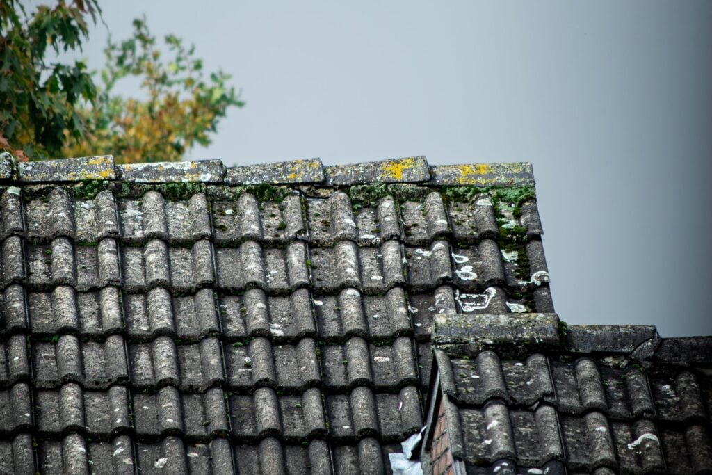 Roof inspection being carried out